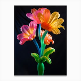 Bright Inflatable Flowers Gaillardia 3 Canvas Print