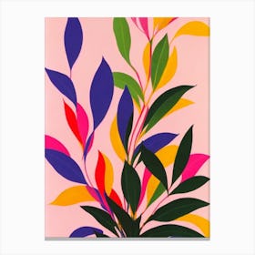 Dracaena Colourful Illustration Plant Canvas Print