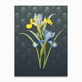 Vintage Spanish Iris Botanical on Slate Gray Pattern n.1327 Canvas Print