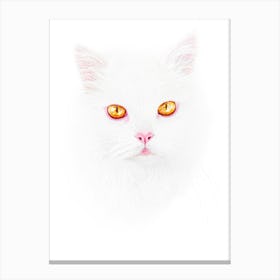 Portrait Of A White Cat With Yellow Eyes With A Pink Nose Canvas Print