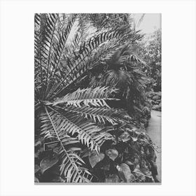 B&W Jungle Canvas Print