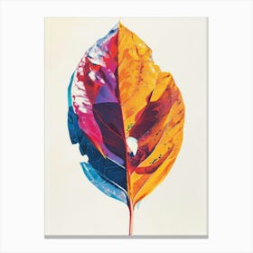 Leaf illustration 2 Canvas Print