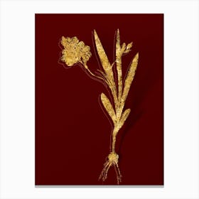Vintage Ixia Miniata Botanical in Gold on Red n.0427 Canvas Print