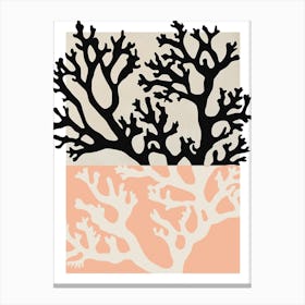 Coral Peach Canvas Print