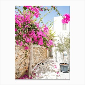 Greek Island Courtyard Canvas Print