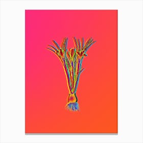 Neon Cloth of Gold Crocus Botanical in Hot Pink and Electric Blue n.0429 Canvas Print