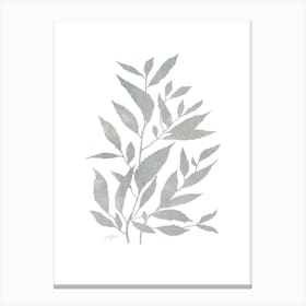 Grey Plant No486a Canvas Print