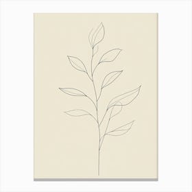 Leaf On A Branch 5 Canvas Print