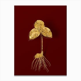 Vintage Tri Flower Botanical in Gold on Red n.0350 Canvas Print