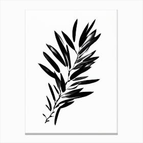 Olive Branch Symbol Black And White Painting Canvas Print