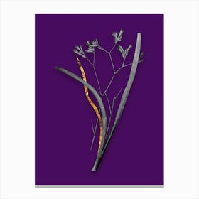 Vintage Anigozanthos Flavida Black and White Gold Leaf Floral Art on Deep Violet n.0202 Canvas Print