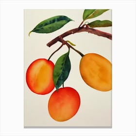 Mango Watercolour Fruit Painting Fruit Canvas Print