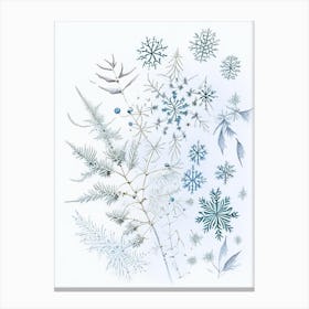 Winter, Snowflakes, Quentin Blake Illustration 1 Canvas Print