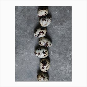 Quail Eggs 13 Canvas Print