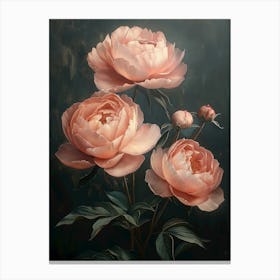 Peonies Canvas Print