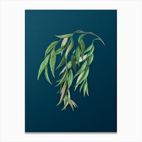 Vintage Babylon Willow Botanical Art on Teal Blue Canvas Print