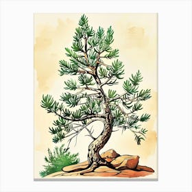 Juniper Tree Storybook Illustration 2 Canvas Print