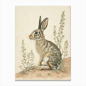 Tan Rabbit Drawing 1 Canvas Print