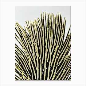 Acropora Gomezi Linocut Canvas Print