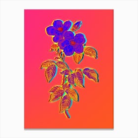 Neon Tea Scented Roses Bloom Botanical in Hot Pink and Electric Blue n.0385 Canvas Print