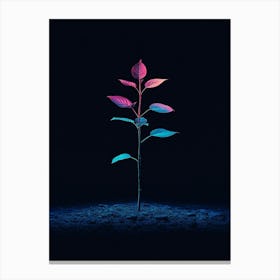 Plant In The Dark 21 Canvas Print