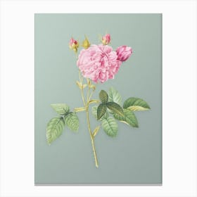 Vintage Pink Agatha Rose Botanical Art on Mint Green n.0399 Canvas Print