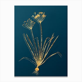 Vintage Allium Straitum Botanical in Gold on Teal Blue Canvas Print