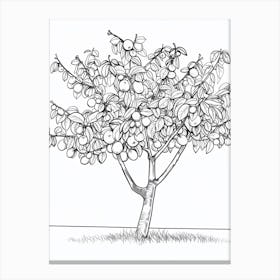 Plum Tree Minimalistic Drawing 3 Canvas Print