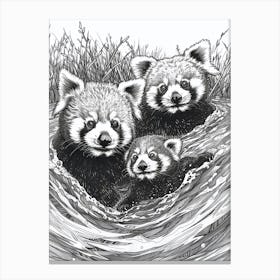 Red Panda Family Swimming Ink Illustration A River Ink Illustration 3 Canvas Print