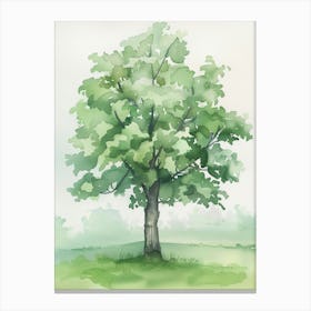Linden Tree Atmospheric Watercolour Painting 8 Canvas Print