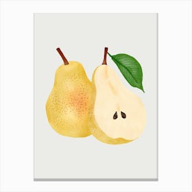 Two Pears Canvas Print