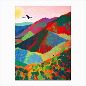Blue Mountains National Park 2 Australia Abstract Colourful Canvas Print