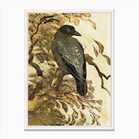 Pied Crow On A Branch (1878–1910), Theo Van Hoytema Canvas Print
