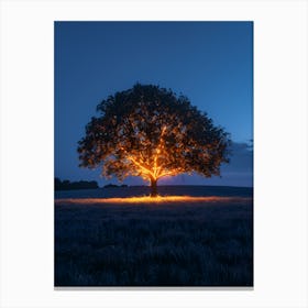 Tree At Night Canvas Print