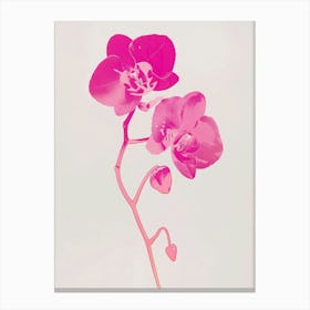 Hot Pink Monkey Orchid 2 Canvas Print