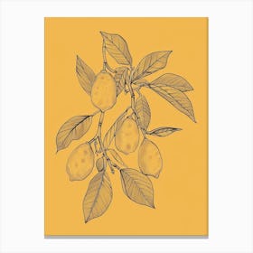 Lemon Tree Minimalistic Drawing 1 Canvas Print
