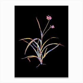 Stained Glass Spiderwort Mosaic Botanical Illustration on Black Canvas Print