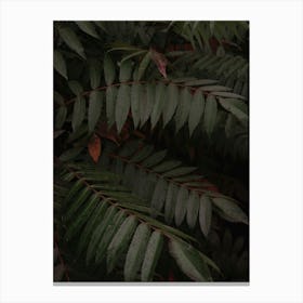 Dark Green Tropical Foliage Vertical Canvas Print