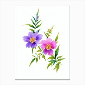 Cypress Watercolour Flower Canvas Print