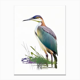 Javan Pond Heron Impressionistic 1 Canvas Print