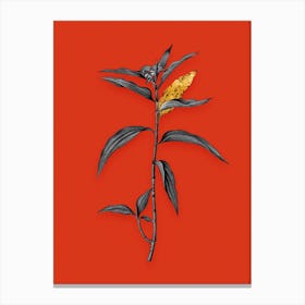 Vintage Dayflower Black and White Gold Leaf Floral Art on Tomato Red n.0559 Canvas Print