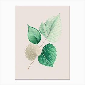 Mint Leaf Contemporary 9 Canvas Print