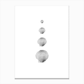 Seashell Collage II Canvas Print