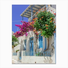 Pink Bougainvillea In The Cyclades Canvas Print