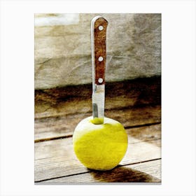 Apple Knife Canvas Print