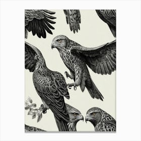 Eagles 1 Canvas Print