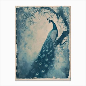 Peacock In A Tree Vintage Cyanotype Inspired 3 Canvas Print