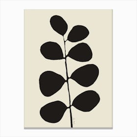 Eucalyptus Canvas Print