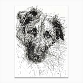 Anatolian Shepherd Dog Line Sketch 1 Canvas Print