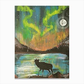 Northern Lights Spectacle Canvas Print